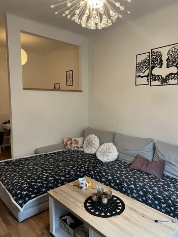 Pronájem bytu 2+kk, Plzeň - Jižní Předměstí, Kollárova, 55 m2