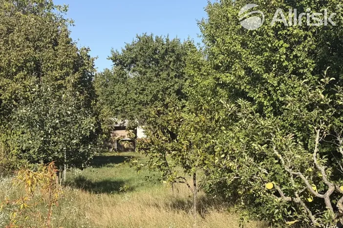 Prodej zahrady, Vojkovice, 910 m2