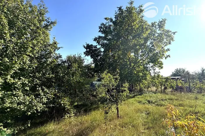 Prodej zahrady, Vojkovice, 910 m2