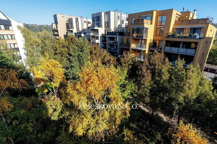 Pronájem bytu 1+kk, Praha - Holešovice, Jankovcova, 38 m2