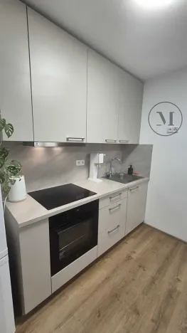 Pronájem bytu 1+kk, České Budějovice, Pekárenská, 22 m2