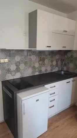 Pronájem bytu 1+kk, 24 m², Jamnická, Staré Město