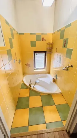 Prodej rodinného domu, Bílina - Újezdské Předměstí, Alšova, 150 m2