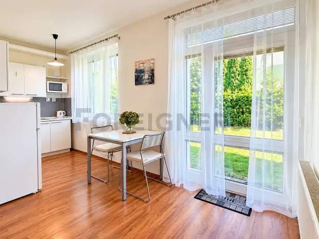 Pronájem bytu 1+kk, Brno, Adamcova, 34 m2