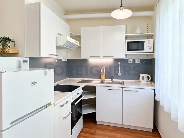 Pronájem bytu 1+kk, Brno, Adamcova, 34 m2
