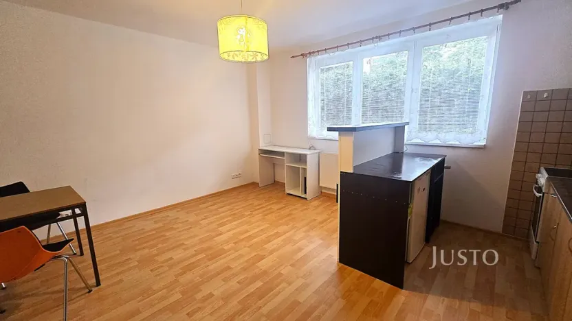 Pronájem bytu 1+kk, Písek, Přemyslova, 28 m2