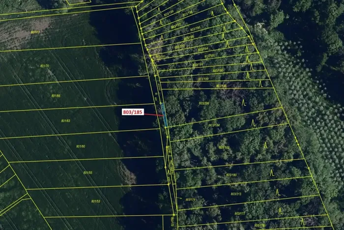 Dražba lesa, Přísnotice, 31 m2
