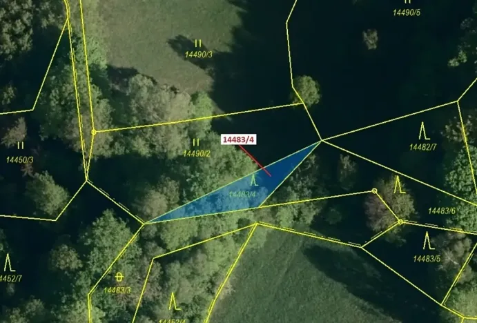 Dražba lesa, Hovězí, 173 m2