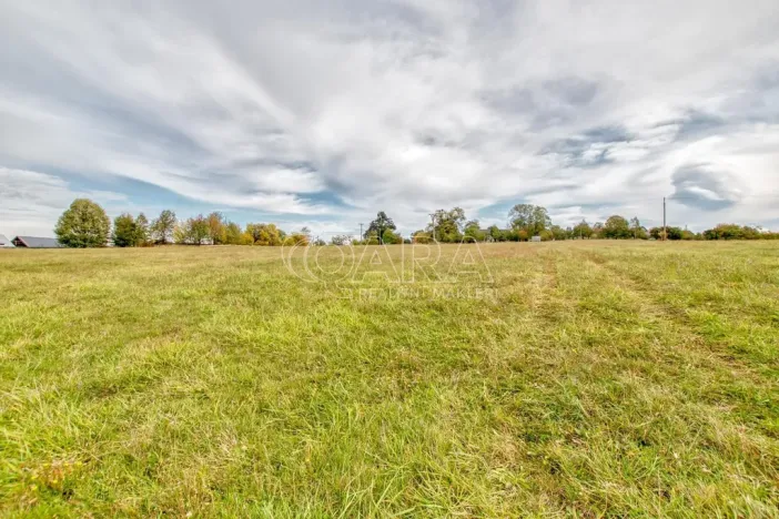 Prodej zahrady, Starý Jičín - Janovice, 10274 m2