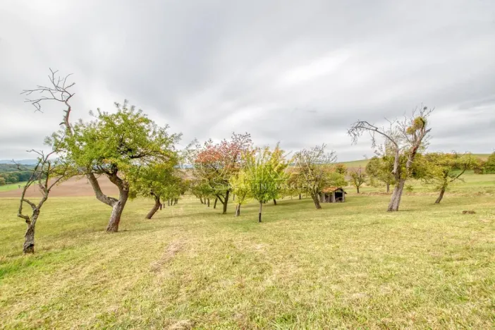 Prodej zahrady, Starý Jičín - Janovice, 10274 m2