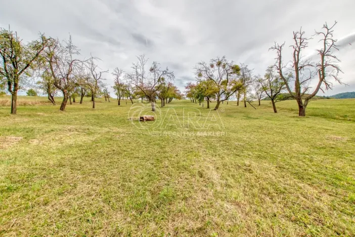 Prodej zahrady, Starý Jičín - Janovice, 10274 m2