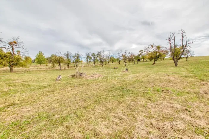 Prodej zahrady, Starý Jičín - Janovice, 10274 m2