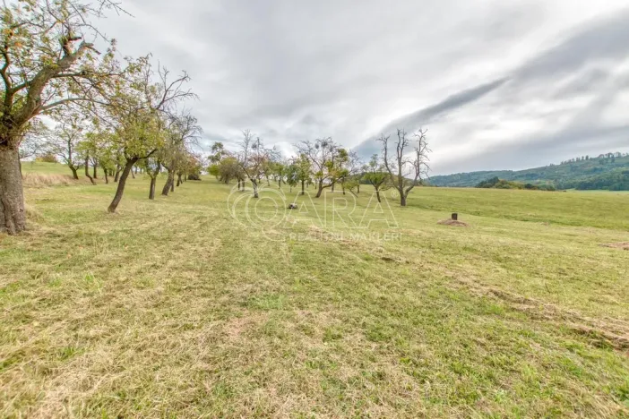 Prodej zahrady, Starý Jičín - Janovice, 10274 m2