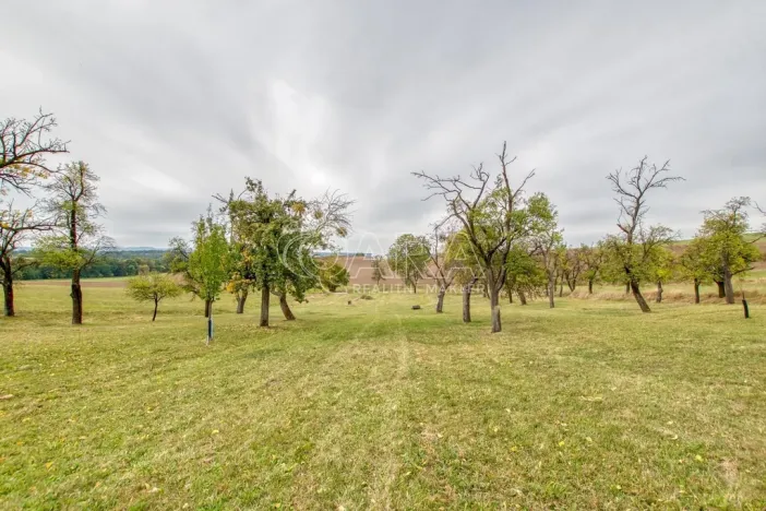 Prodej zahrady, Starý Jičín - Janovice, 10274 m2