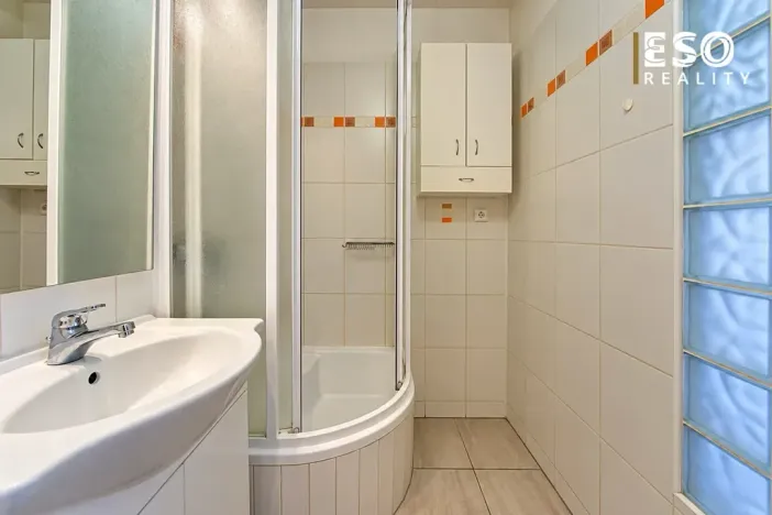 Prodej bytu 2+1, Ostrava, Lumírova, 61 m2