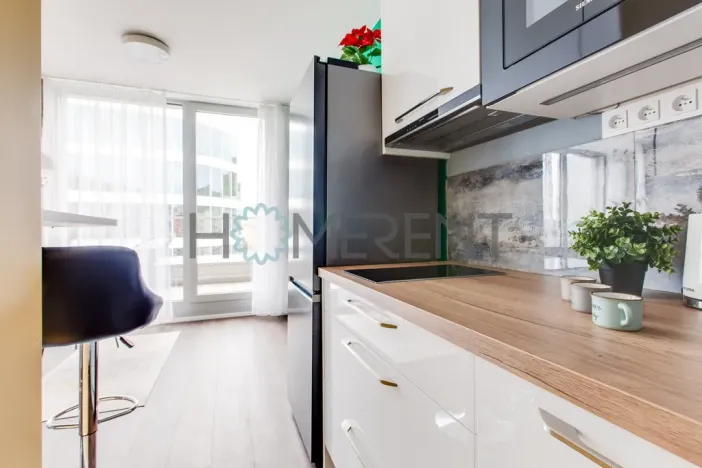 Pronájem bytu 1+kk, Praha - Smíchov, Plzeňská, 31 m2