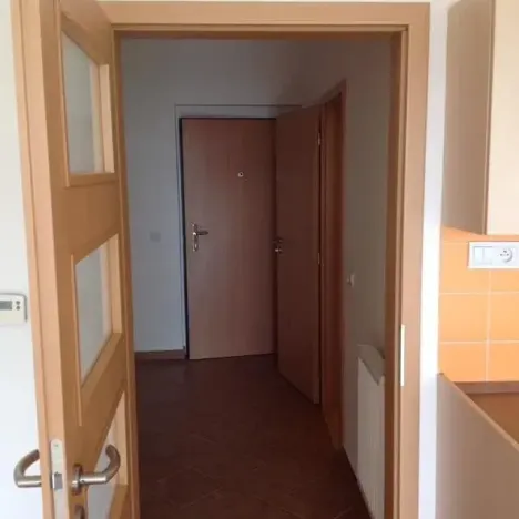 Pronájem bytu 1+kk, Olomouc, Peškova, 30 m2