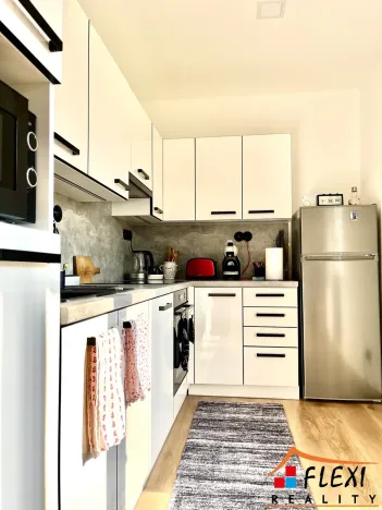 Pronájem bytu 1+1, Ostrava - Mariánské Hory, Železárenská, 40 m2