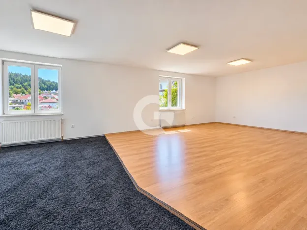 Prodej obchodního prostoru, Zlín - Malenovice, Bezručova, 568 m2