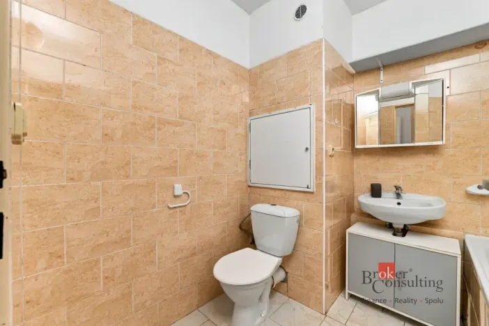 Prodej bytu 1+1, Plzeň - Severní Předměstí, Brněnská, 48 m2