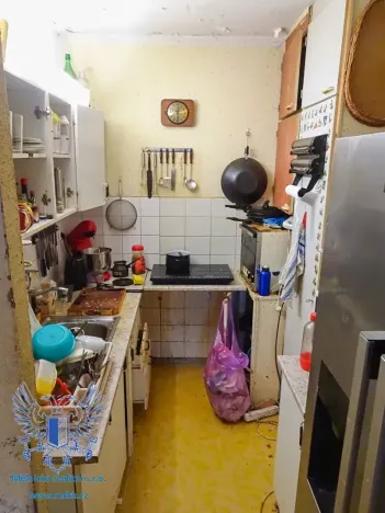 Prodej bytu 2+kk, Mělník, Sportovní, 43 m2