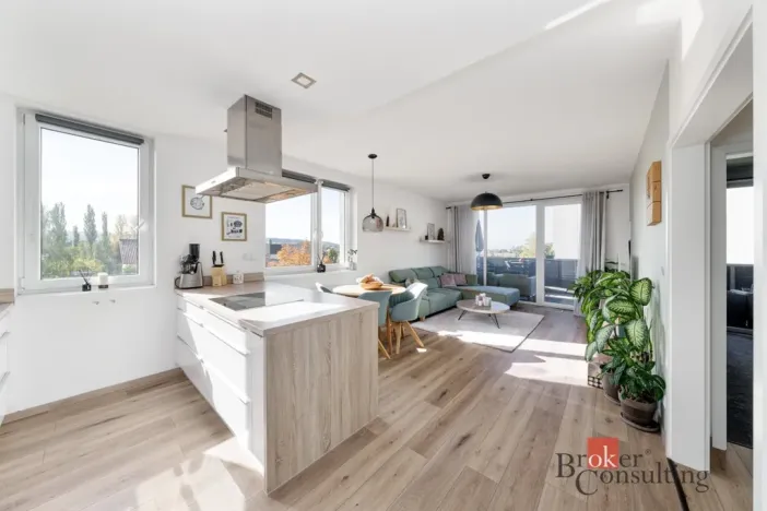 Prodej bytu 3+kk, Plzeň - Újezd, Halštatská, 88 m2