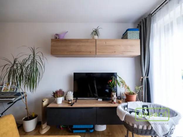 Prodej bytu 3+kk, Olomouc, Aloise Rašína, 88 m2