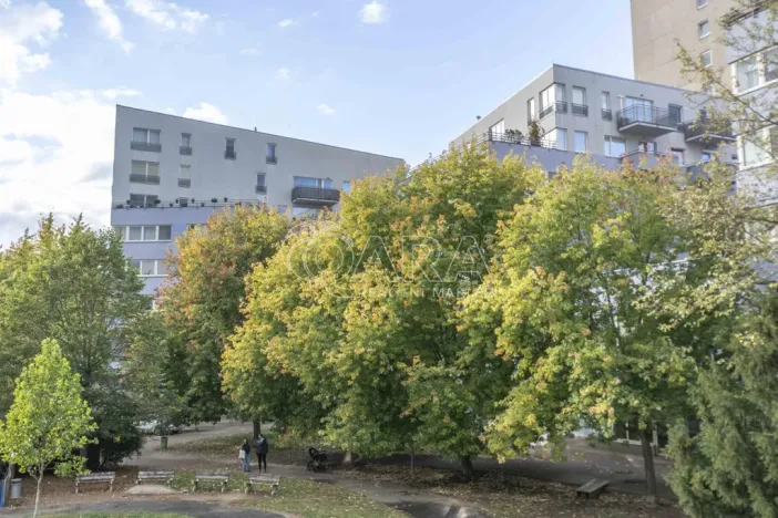 Prodej bytu 2+kk, Praha - Motol, Kudrnova, 63 m2