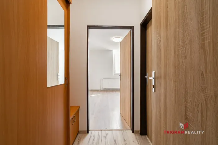 Pronájem bytu 1+kk, Hradec Králové - Plotiště nad Labem, Petra Jilemnického, 18 m2