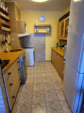 Prodej bytu 2+kk, Teplice, Alejní, 51 m2