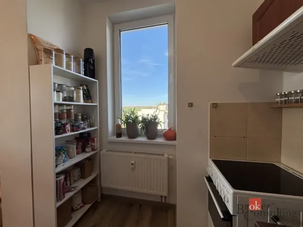 Prodej bytu 1+kk, Litultovice, 45 m2