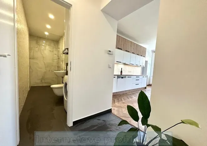 Pronájem bytu 2+kk, Praha - Žižkov, 82 m2