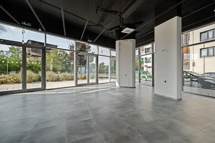 Pronájem restaurace, Praha - Holešovice, V háji, 240 m2