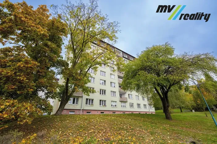 Prodej bytu 1+1, Milovice, Armádní, 33 m2