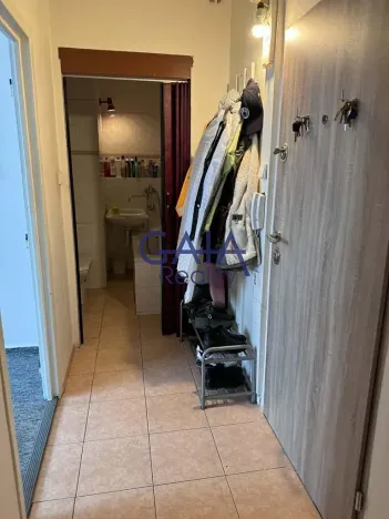 Prodej bytu 2+1, Hodonín, Luční, 43 m2