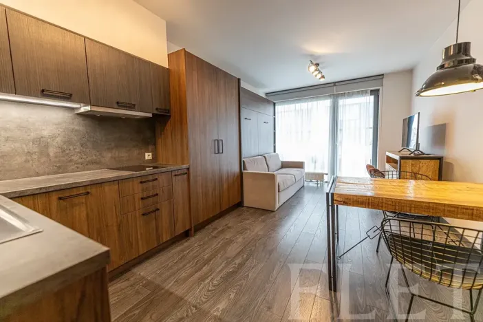 Pronájem bytu 1+kk, Praha - Karlín, Sokolovská, 31 m2