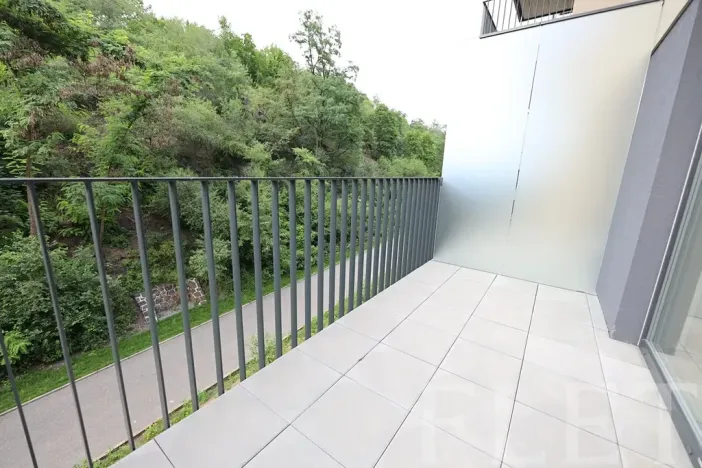 Pronájem bytu 1+kk, Praha - Žižkov, Hartigova, 38 m2