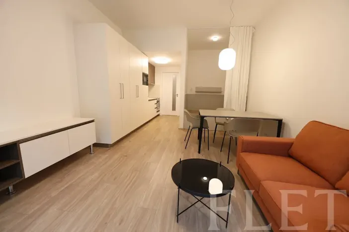 Pronájem bytu 1+kk, Praha - Žižkov, Hartigova, 38 m2
