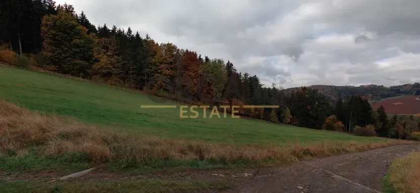 Prodej louky, Slaná, 16164 m2