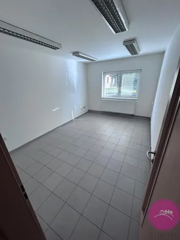 Pronájem výrobních prostor, Hlušovice, Okružní, 318 m2