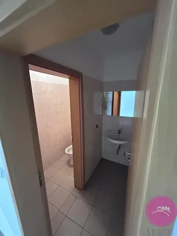 Pronájem výrobních prostor, Hlušovice, Okružní, 318 m2