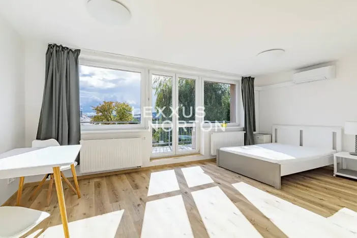 Pronájem bytu 1+kk, Praha - Smíchov, Nad Palatou, 35 m2