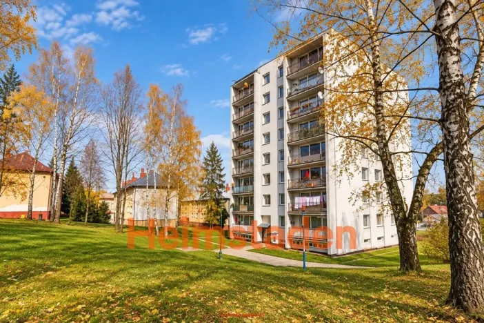 Pronájem bytu 3+1, Albrechtice, Hornická, 78 m2