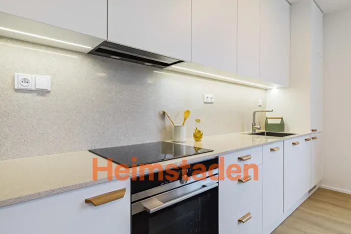 Pronájem bytu 2+kk, Praha - Holešovice, U Pergamenky, 57 m2