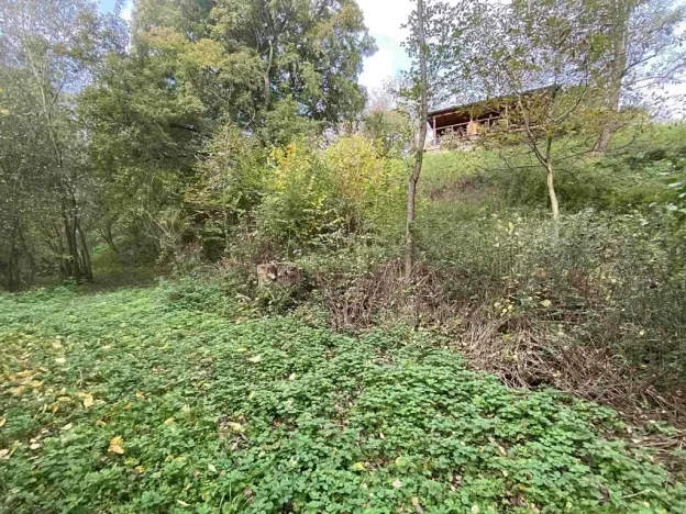 Dražba louky, Svijany, 1003 m2