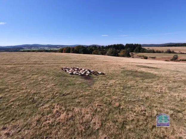 Prodej louky, Lesná - Stará Knížecí Huť, 410390 m2