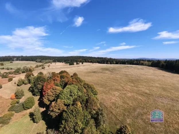 Prodej louky, Lesná - Stará Knížecí Huť, 410390 m2