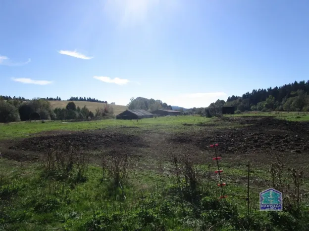 Prodej louky, Lesná - Stará Knížecí Huť, 410390 m2