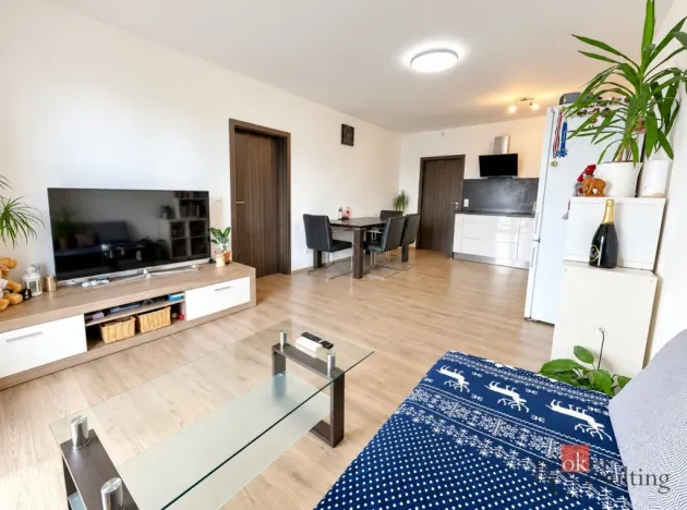 Prodej bytu 2+kk, Zbůch, U Trati, 48 m2
