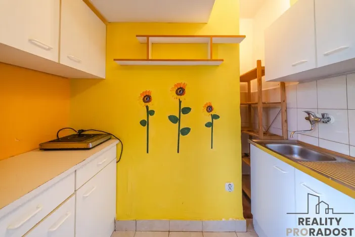 Prodej bytu 1+kk, Ostrava - Poruba, Kyjevská, 28 m2